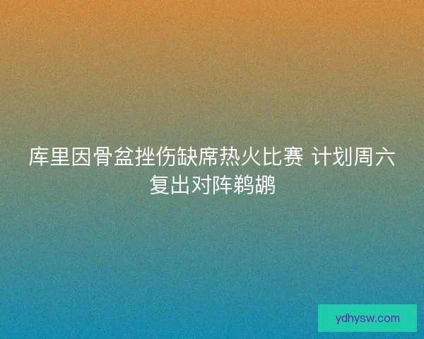 库里因骨盆挫伤缺席热火比赛 计划周六复出对阵鹈鹕